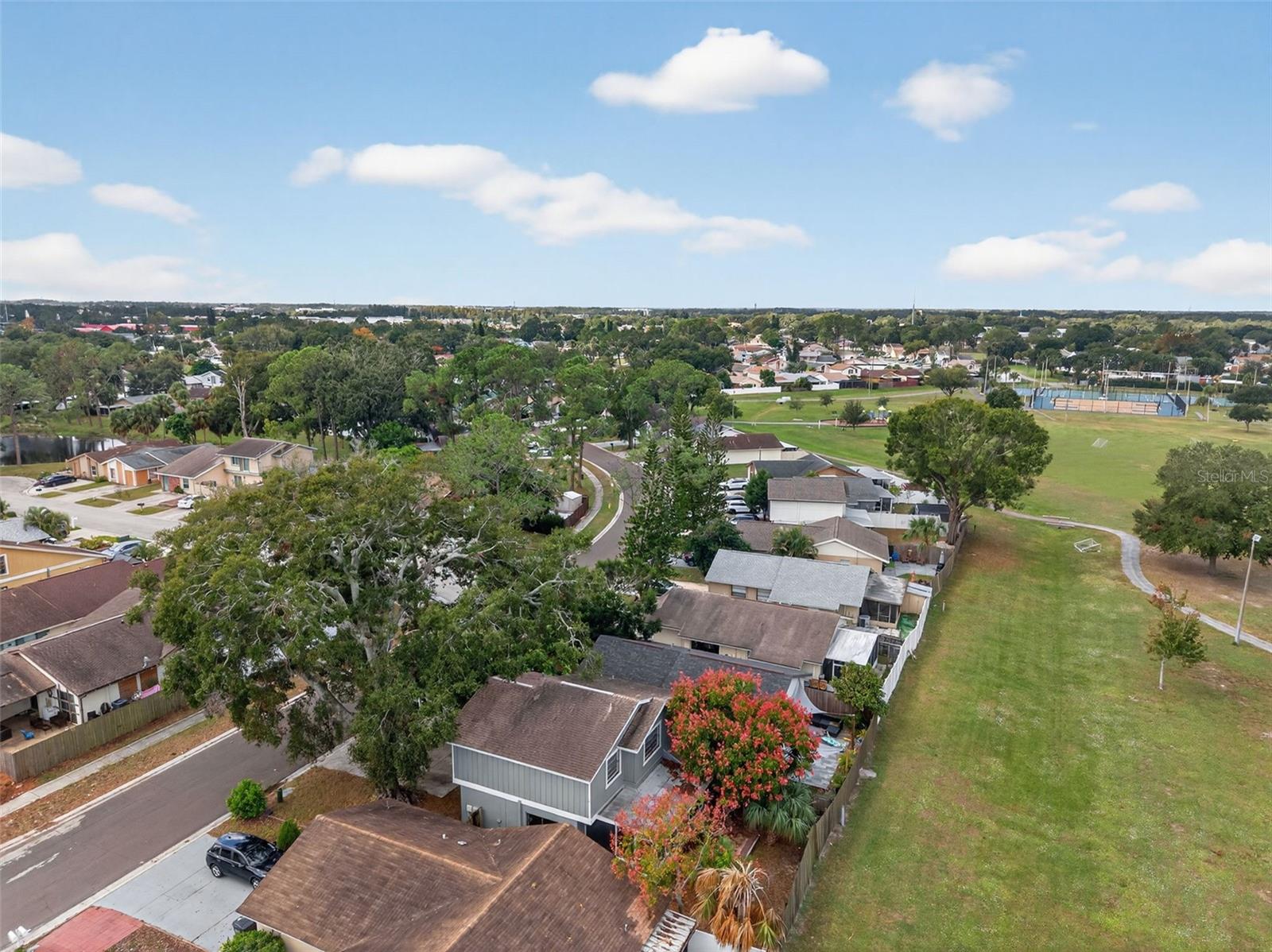 ROSEMOUNT VILLAGE UNIT IV REPL - Residential