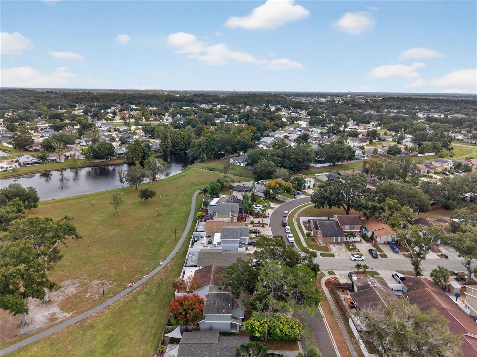 ROSEMOUNT VILLAGE UNIT IV REPL - Residential