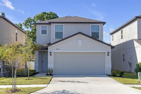 7229 SPRING SNOWFLAKE AVENUE TAMPA FL 33619