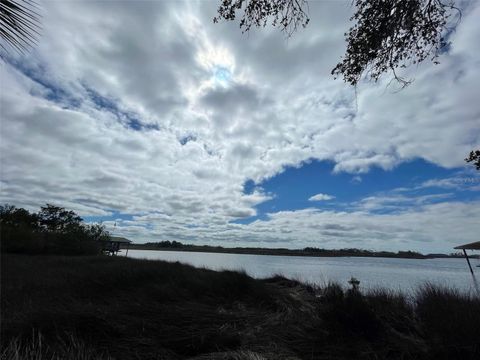 Tiny photo for 12214 W Restview Court, Homosassa, FL 34448 (MLS # U8217922)