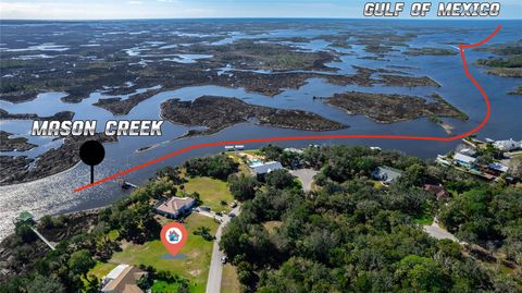 Tiny photo for 12214 W Restview Court, Homosassa, FL 34448 (MLS # U8217922)