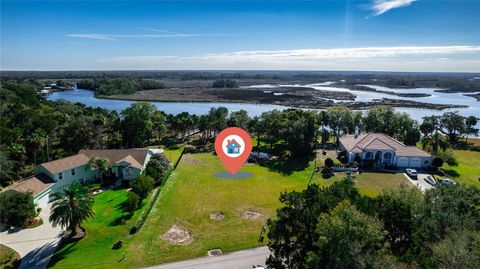 Photo of 12214 W Restview Court, Homosassa, FL 34448 (MLS # U8217922)