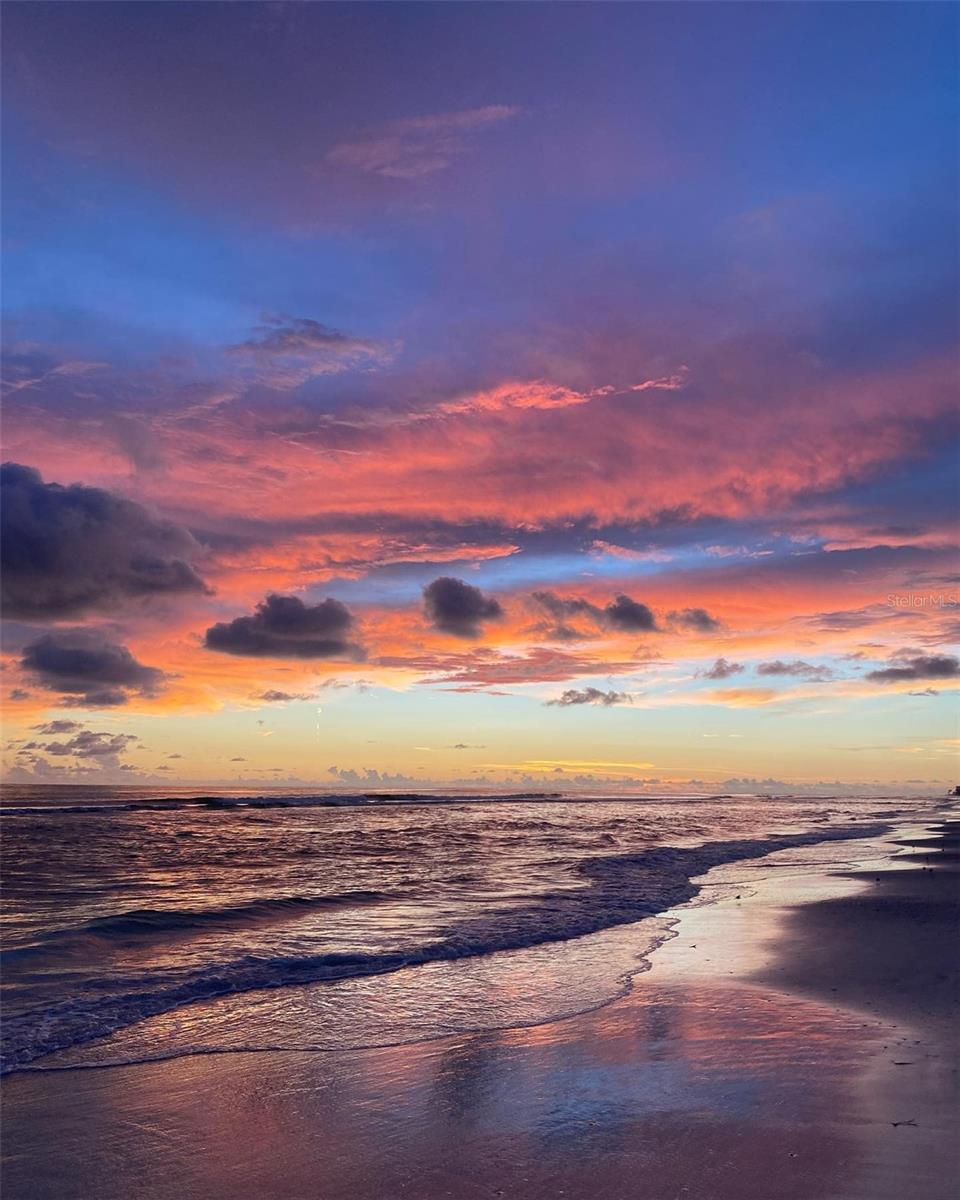 TALON PRESERVE PH - Residential