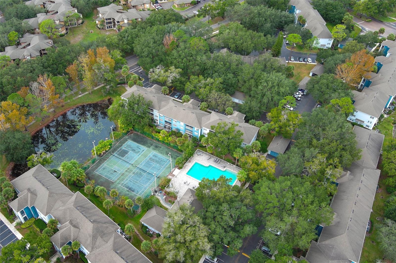 CLUBSIDE AT SABAL POINT A CONDO - Residential