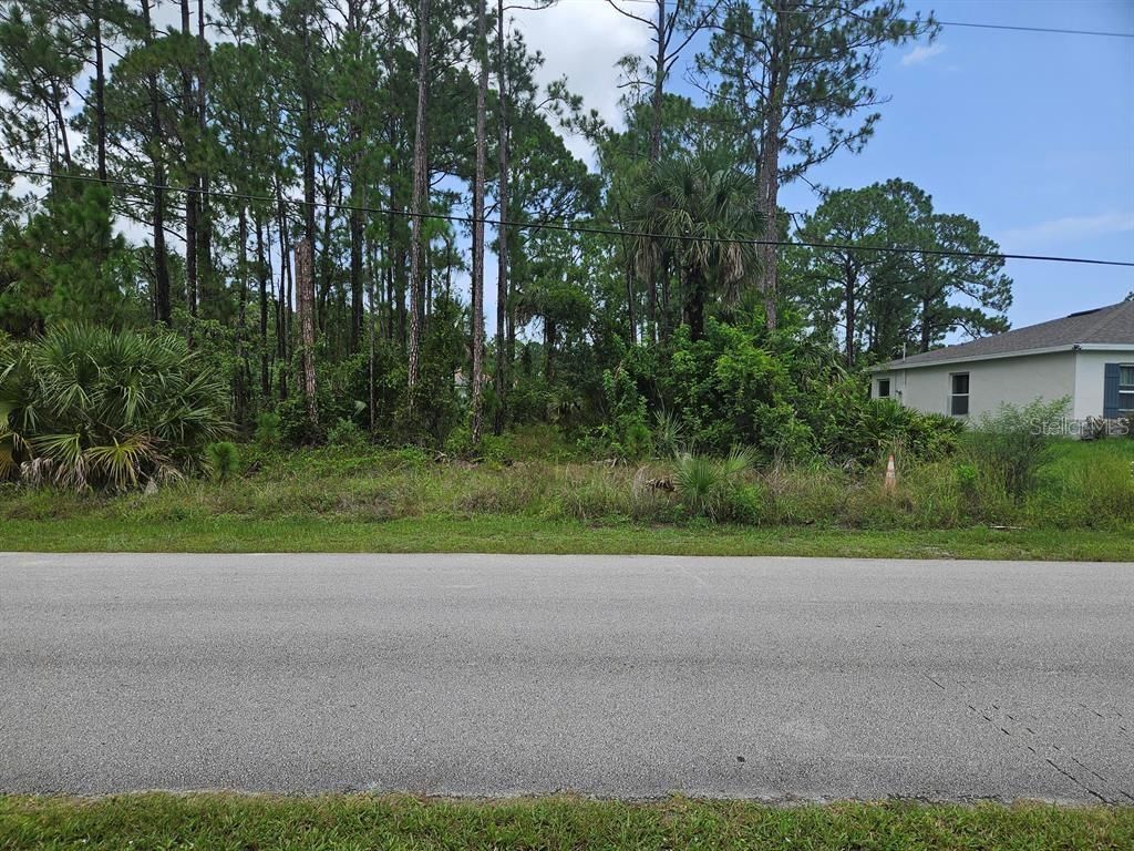 Photo of 1295 Seabold Road SW, Palm Bay, FL 32908 (MLS # O6347427)