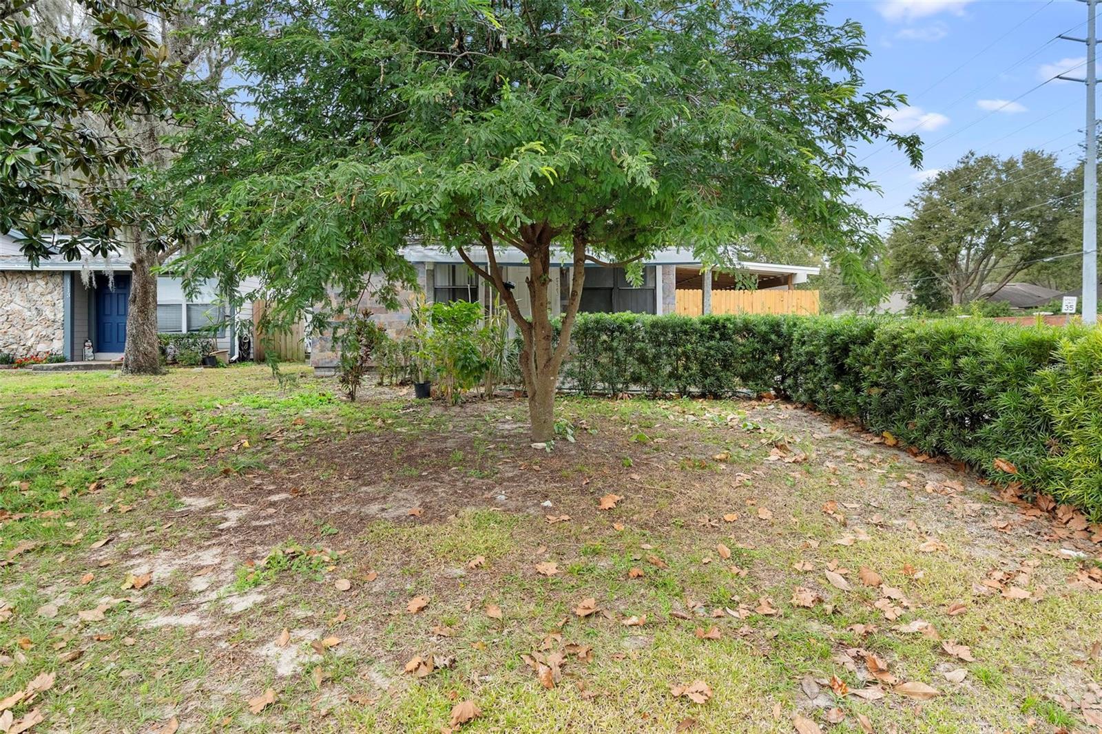 ERROL PLACE - Residential