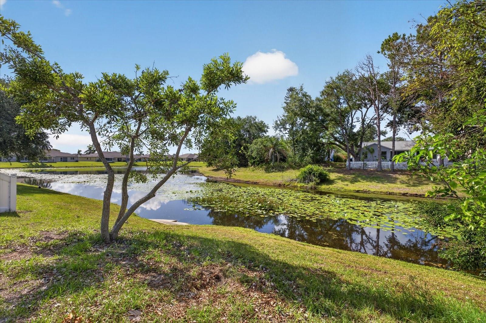 MEADOWBROOKE AT SUMMERFIELD UNIT 5A AND 5B - Residential