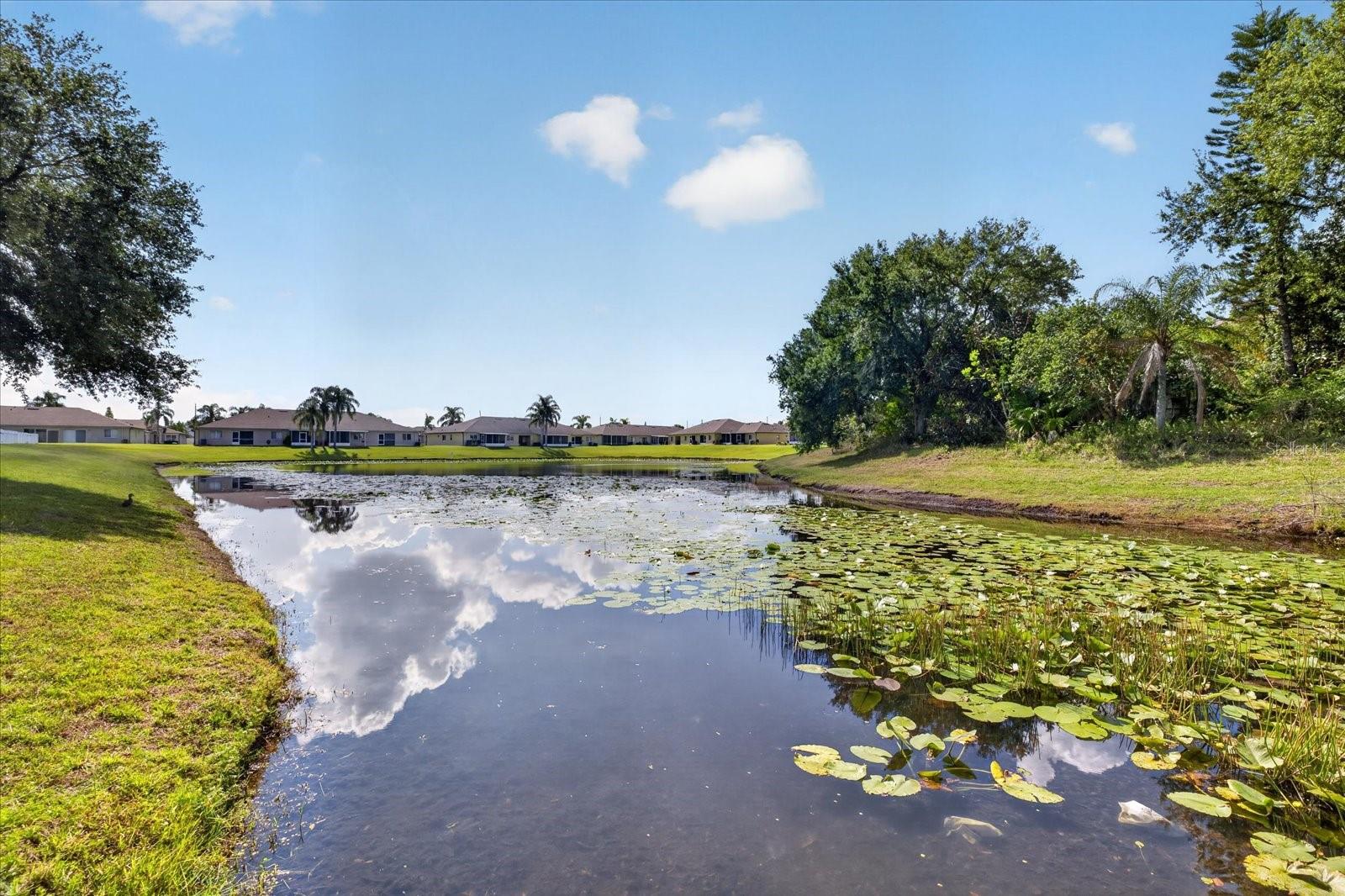 MEADOWBROOKE AT SUMMERFIELD UNIT 5A AND 5B - Residential