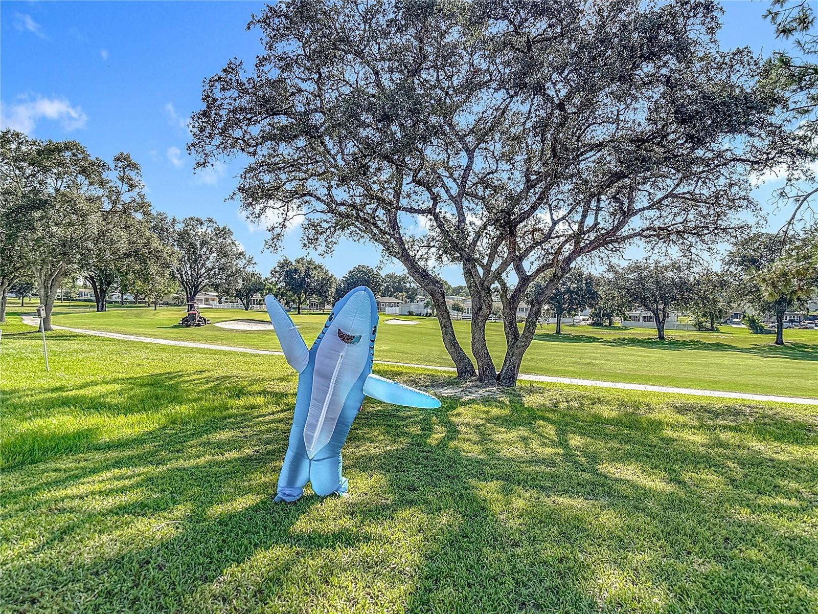 BROOKRIDGE COMM - Residential