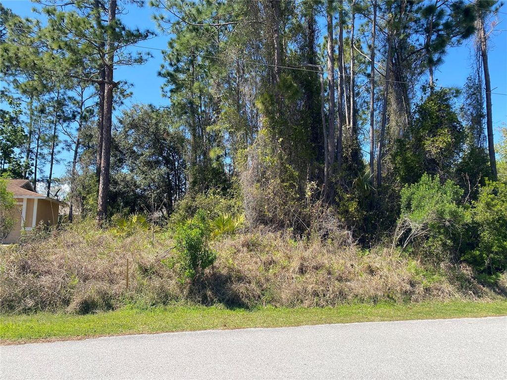 Photo of 51 Bronson Lane, Palm Coast, FL 32137 (MLS # FC317179)