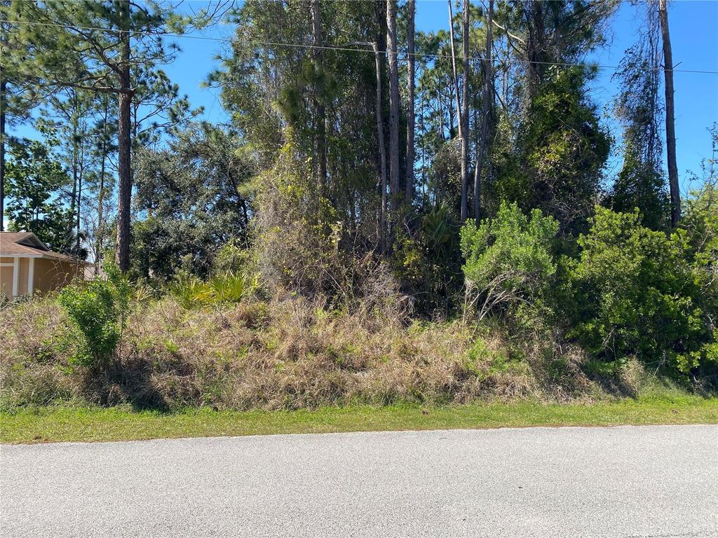 Photo of 51 Bronson Lane, Palm Coast, FL 32137 (MLS # FC317179)