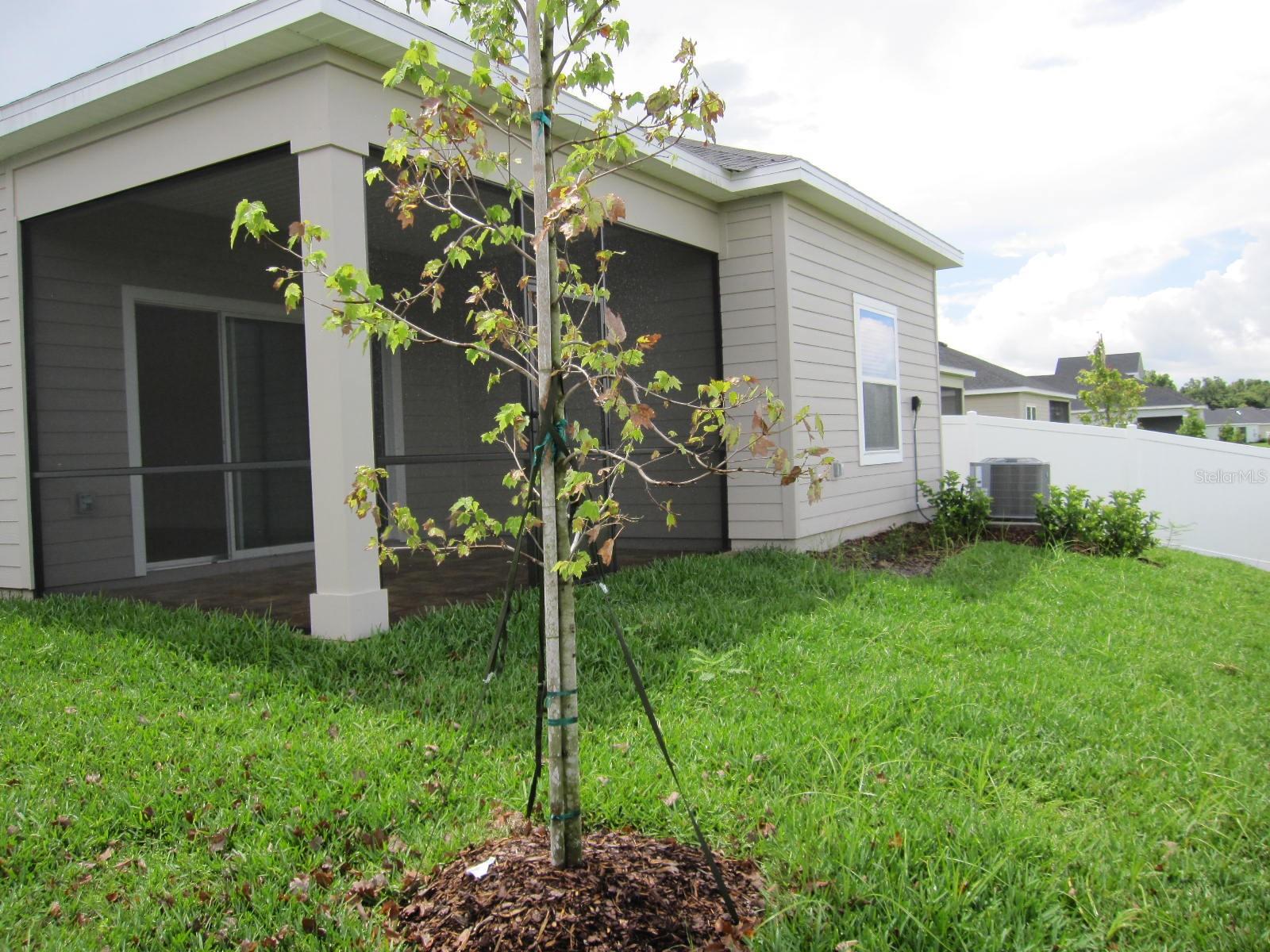 HEATH PRESERVE PH 1 - Residential Lease