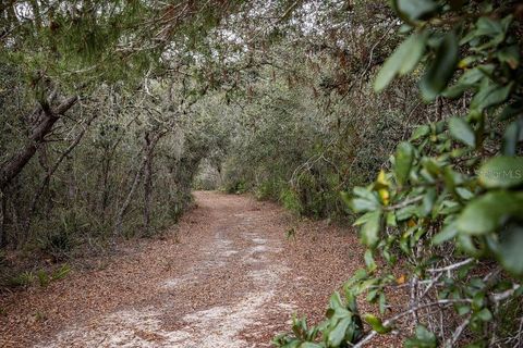 Tiny photo for Forest 02 Road, Umatilla, FL 32784 (MLS # G5109487)