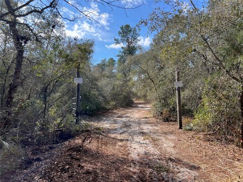 Tiny photo for Forest 02 Road, Umatilla, FL 32784 (MLS # G5109487)