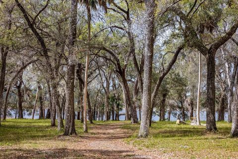 Tiny photo for Forest 02 Road, Umatilla, FL 32784 (MLS # G5109487)
