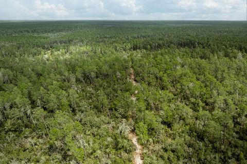 Tiny photo for Forest 02 Road, Umatilla, FL 32784 (MLS # G5109487)