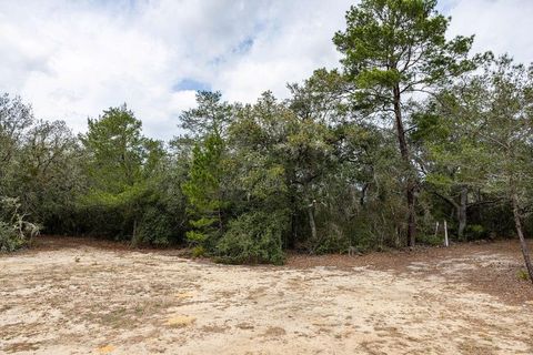 Tiny photo for Forest 02 Road, Umatilla, FL 32784 (MLS # G5109487)