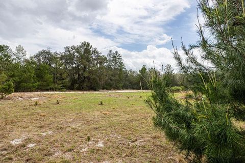 Tiny photo for Forest 02 Road, Umatilla, FL 32784 (MLS # G5109487)