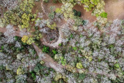 Tiny photo for Forest 02 Road, Umatilla, FL 32784 (MLS # G5109487)