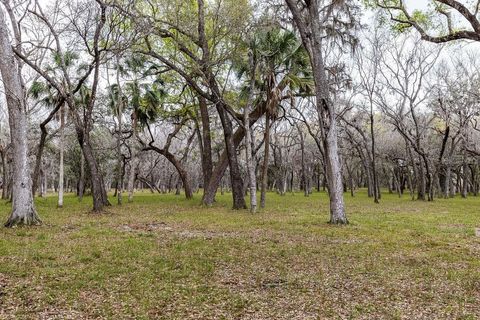 Tiny photo for Forest 02 Road, Umatilla, FL 32784 (MLS # G5109487)