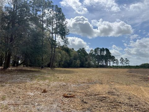 Tiny photo for Forest 02 Road, Umatilla, FL 32784 (MLS # G5109487)