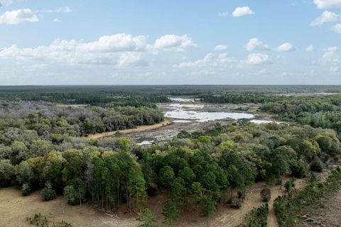 Tiny photo for Forest 02 Road, Umatilla, FL 32784 (MLS # G5109487)