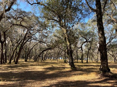 Photo of Forest 02 Road, Umatilla, FL 32784 (MLS # G5109487)