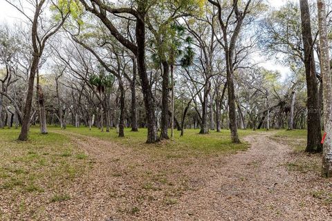 Tiny photo for Forest 02 Road, Umatilla, FL 32784 (MLS # G5109487)