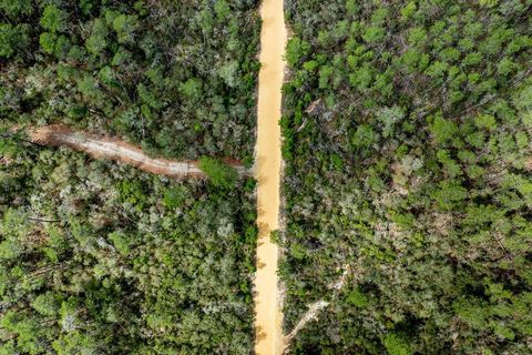 Tiny photo for Forest 02 Road, Umatilla, FL 32784 (MLS # G5109487)