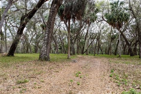 Tiny photo for Forest 02 Road, Umatilla, FL 32784 (MLS # G5109487)