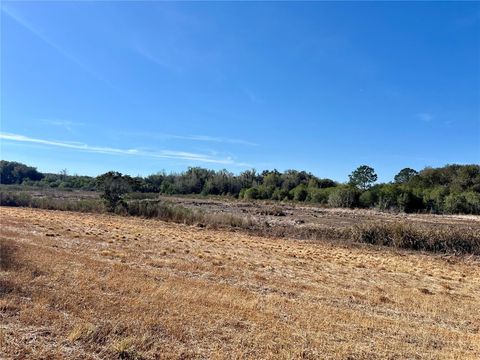 Tiny photo for Forest 02 Road, Umatilla, FL 32784 (MLS # G5109487)