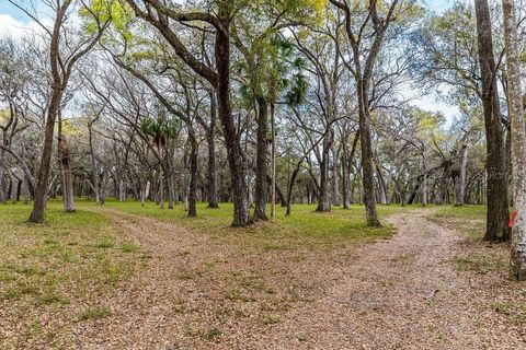 Tiny photo for Forest 02 Road, Umatilla, FL 32784 (MLS # G5109487)