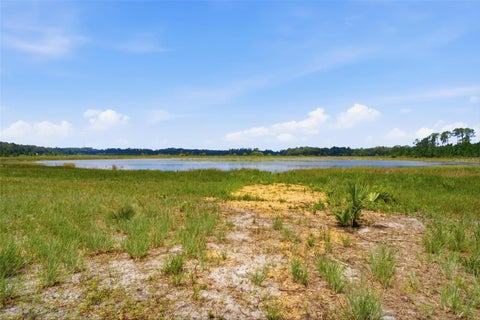 Tiny photo for 0 Forest 02, #2, SE 150th Street, Umatilla, FL 32784 (MLS # G5109487)