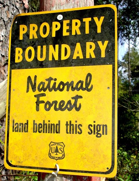 Tiny photo for Forest 02 Road, Umatilla, FL 32784 (MLS # G5109487)