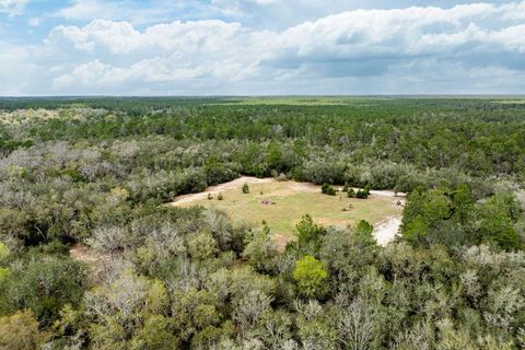 Tiny photo for Forest 02 Road, Umatilla, FL 32784 (MLS # G5109487)