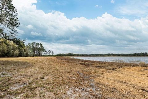 Tiny photo for Forest 02 Road, Umatilla, FL 32784 (MLS # G5109487)