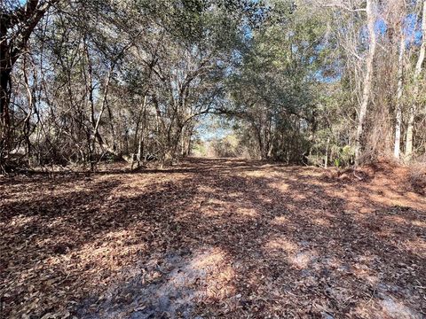 Tiny photo for Forest 02 Road, Umatilla, FL 32784 (MLS # G5109487)