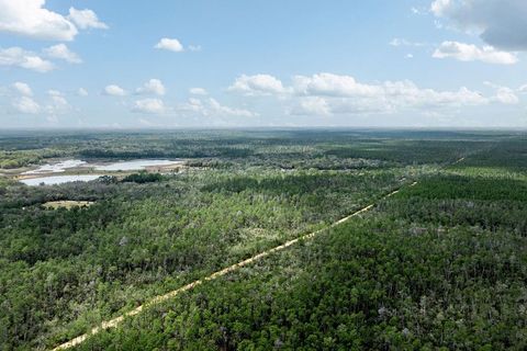 Tiny photo for Forest 02 Road, Umatilla, FL 32784 (MLS # G5109487)