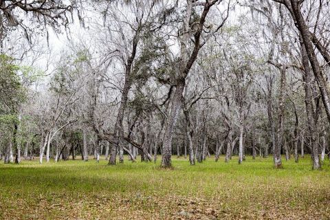 Tiny photo for Forest 02 Road, Umatilla, FL 32784 (MLS # G5109487)
