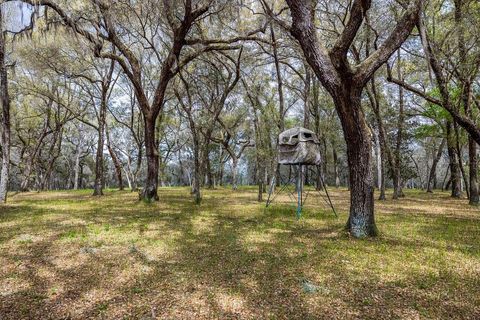 Tiny photo for Forest 02 Road, Umatilla, FL 32784 (MLS # G5109487)