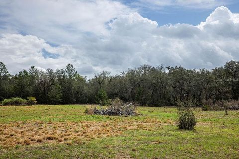 Tiny photo for Forest 02 Road, Umatilla, FL 32784 (MLS # G5109487)