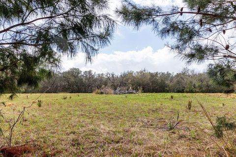Tiny photo for Forest 02 Road, Umatilla, FL 32784 (MLS # G5109487)