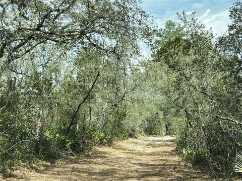 Tiny photo for Forest 02 Road, Umatilla, FL 32784 (MLS # G5109487)
