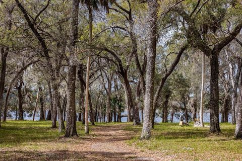 Tiny photo for Forest 02 Road, Umatilla, FL 32784 (MLS # G5109487)