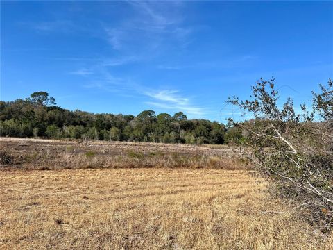 Tiny photo for Forest 02 Road, Umatilla, FL 32784 (MLS # G5109487)