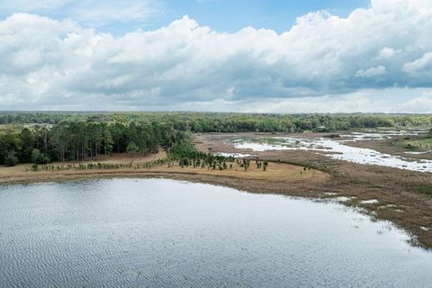 Tiny photo for Forest 02 Road, Umatilla, FL 32784 (MLS # G5109487)