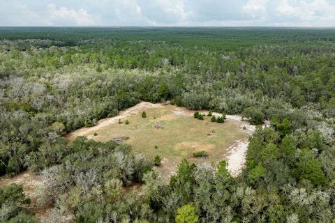 Tiny photo for Forest 02 Road, Umatilla, FL 32784 (MLS # G5109487)
