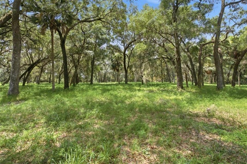 Tiny photo for 0 Forest 02, #2, SE 150th Street, Umatilla, FL 32784 (MLS # G5109487)
