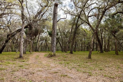 Tiny photo for Forest 02 Road, Umatilla, FL 32784 (MLS # G5109487)