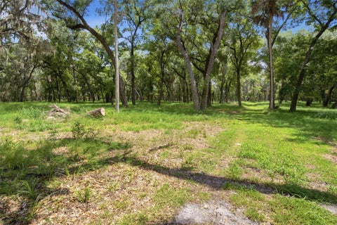 Tiny photo for 0 Forest 02, #2, SE 150th Street, Umatilla, FL 32784 (MLS # G5109487)